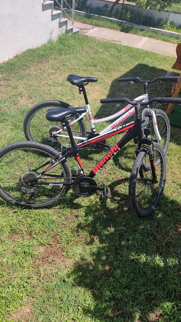 Bianchi 24J Bella (bayan) - Bianchi 24J Star dağ bisikleti - 2