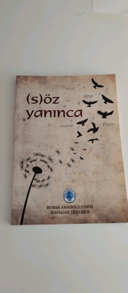 4adet kitap çesitli kategorilerde kitap - 10