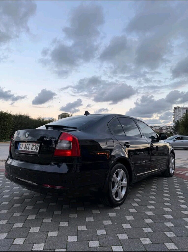 hatasız boyasız skoda Octavia 24 saat için geçerli fiyat - 4