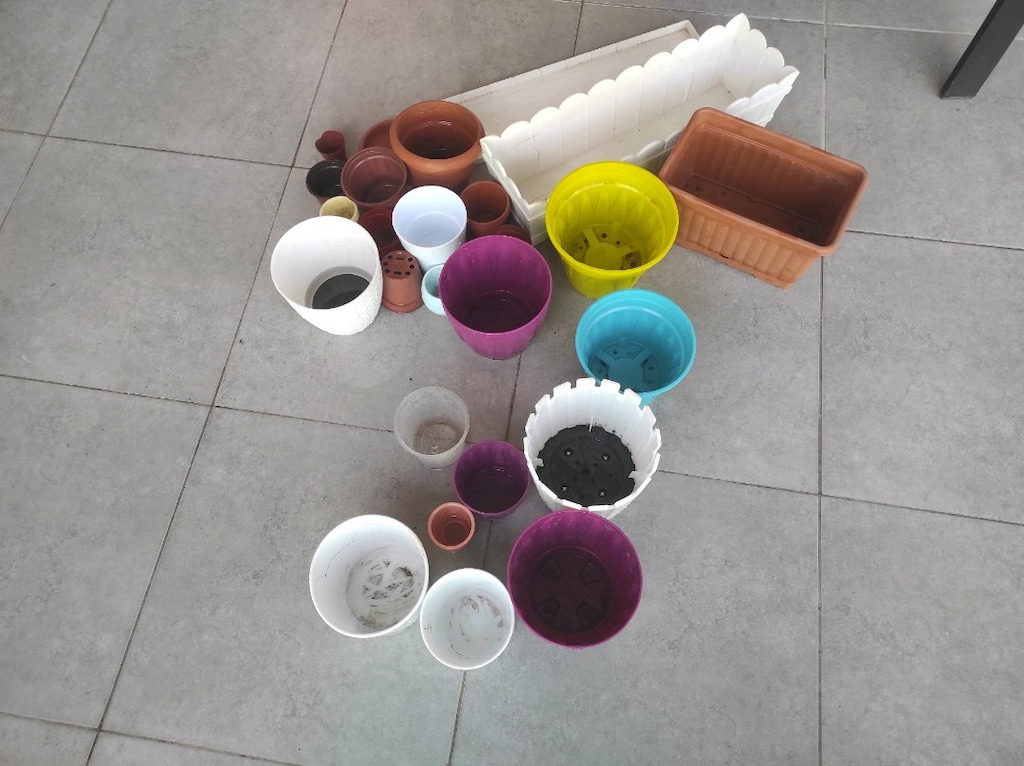 Saksılar - 2