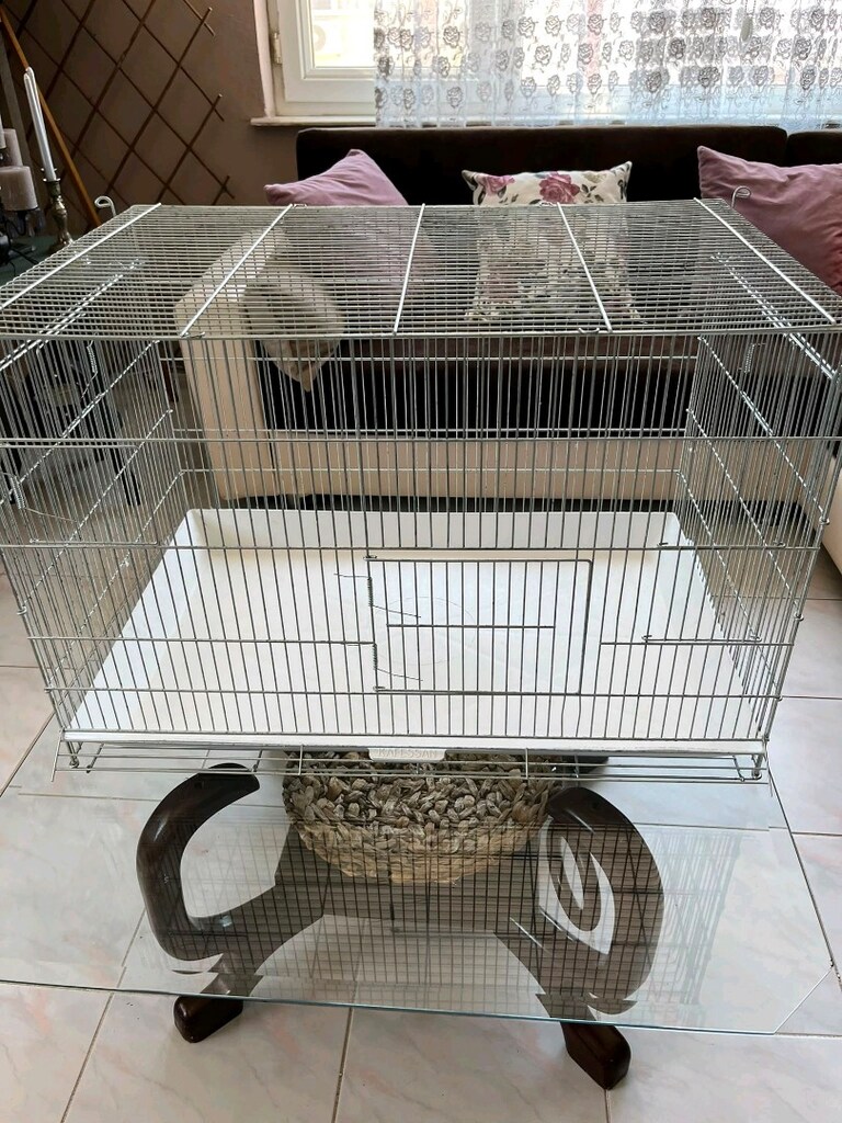 Yavru kedi,köpek ve kuş salma kafes 50*80 büyük kapılı - 2