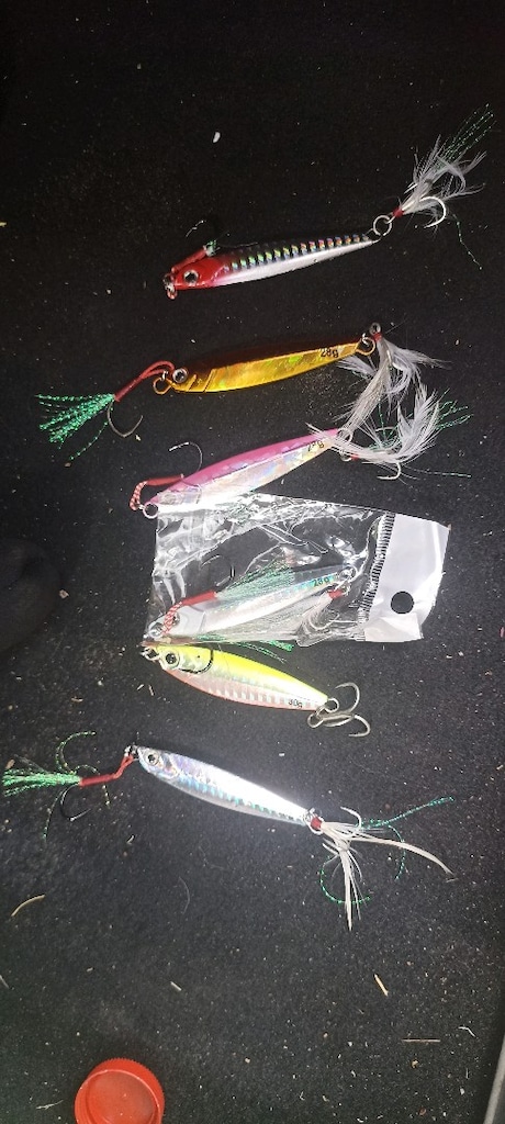 Daiwa karbon legalis seabass - 5