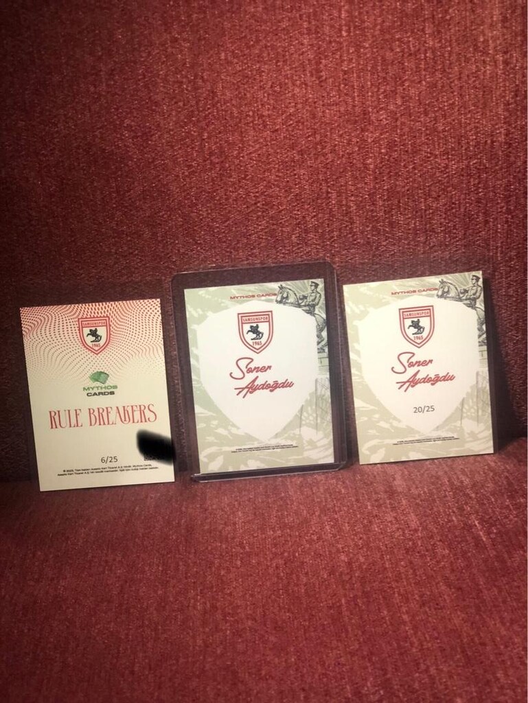 Soner Aydoğdu samsunspor noir ıslak imza - 4
