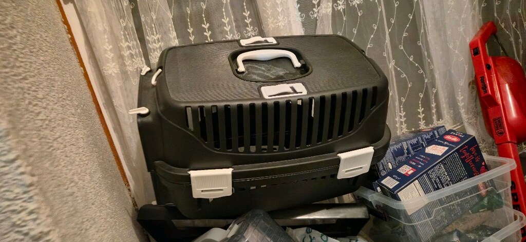 kedi tüm eşyaları