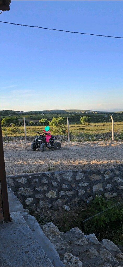 SEGWAY 110 CC ATV - 7