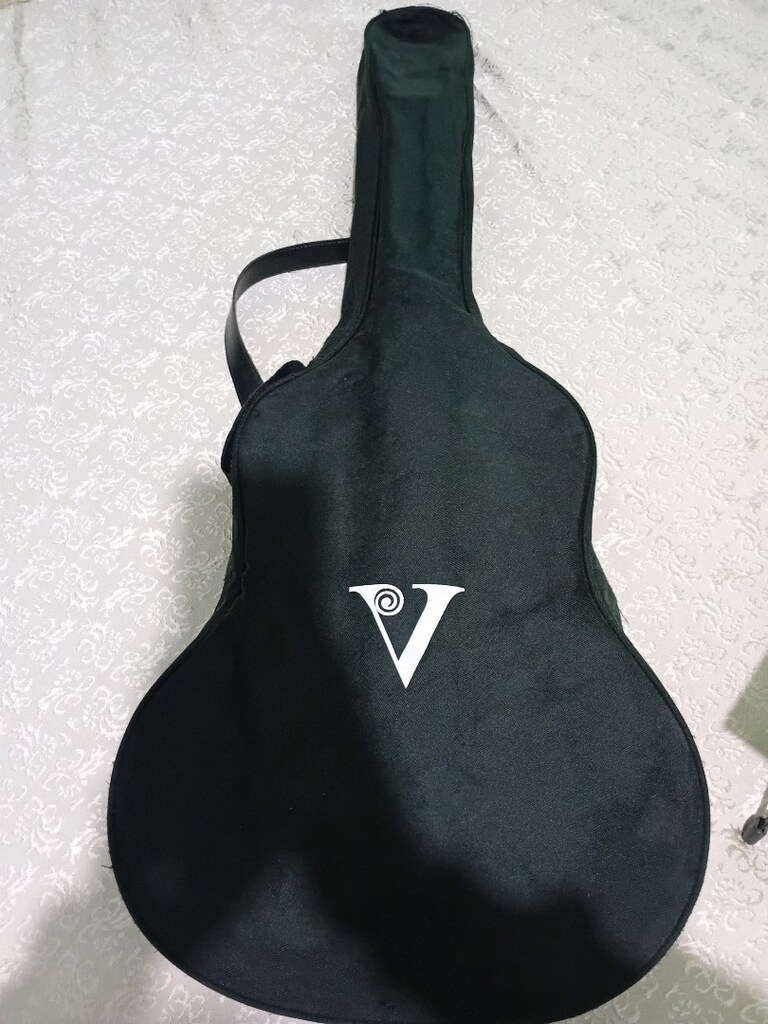 gitar valencia ve ayaklık - 10
