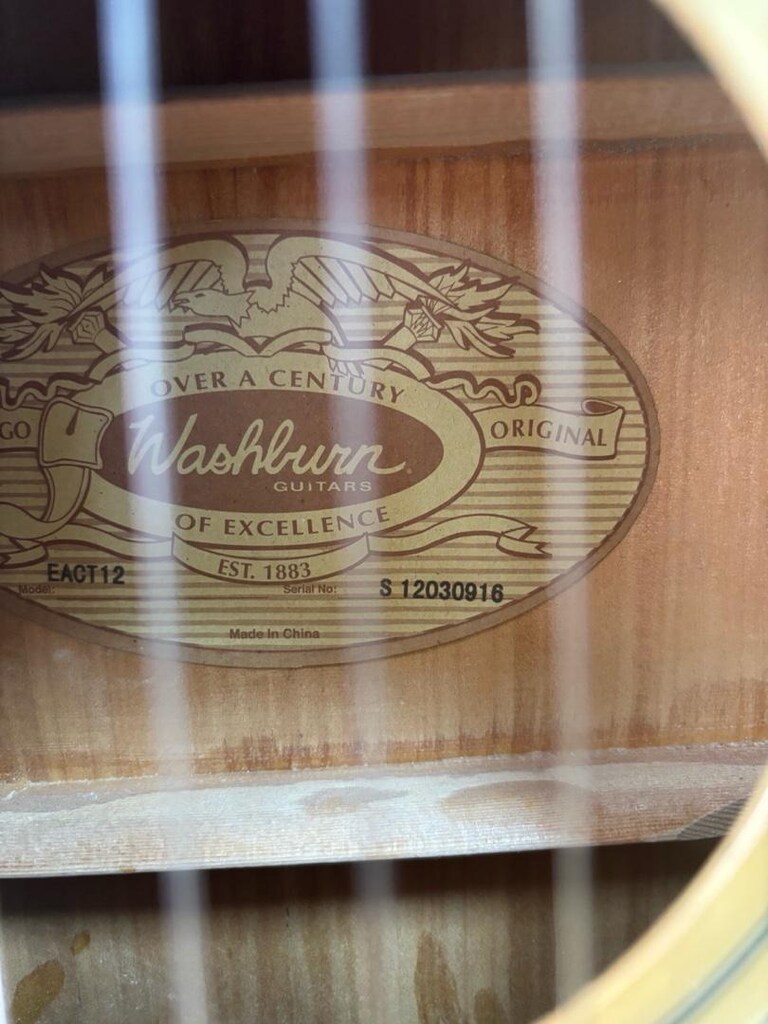 Wasburn EACT12 Elektro Klasik Gitar - 2