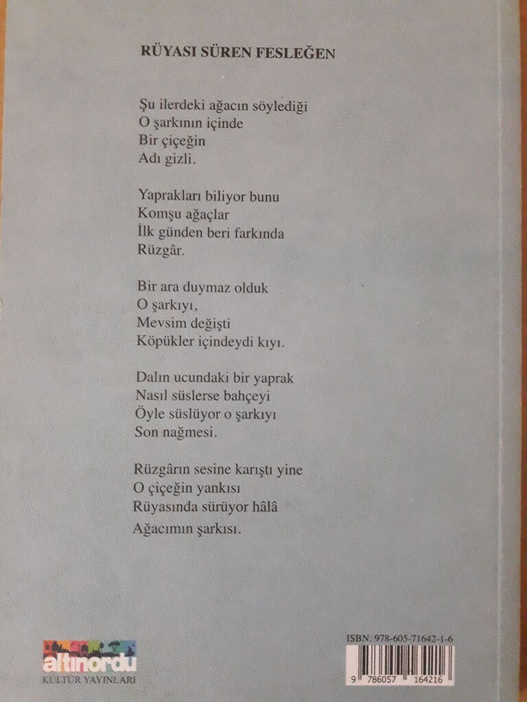 şiir kitapları Gökhan Akçiçek - 4