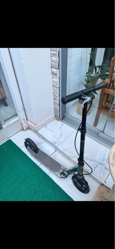 Scoter - 2