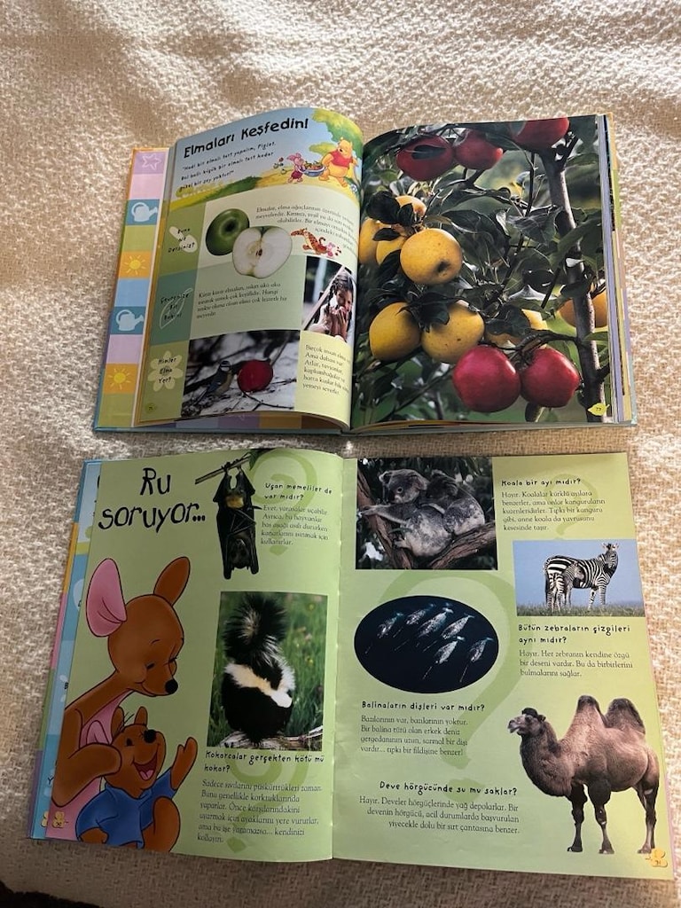Disney Doğa ve Hayvanlar andiklopedis - 2