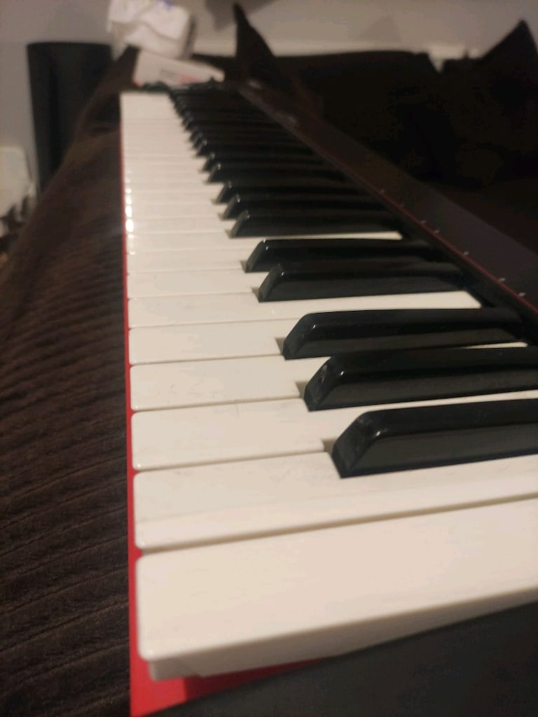 Nektar SE49 USB MIDI Klavye - 3