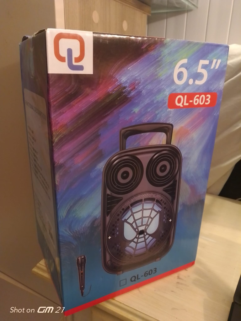 QL 603 Taşınabilir Kablosuz Bluetooth Hoparlör ve Karaoke Müzik Kutusu - 2