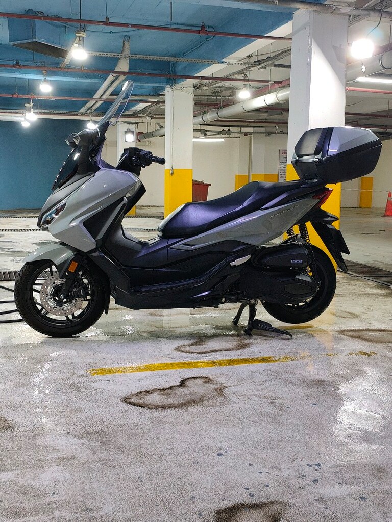Honda forza 2025 cantali - 2