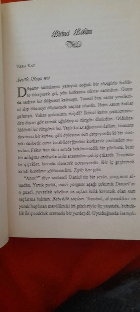 BÖĞÜRTLEN KIŞI,,AGAPI, MART MENEKŞELERİ SARAH JİO - 3