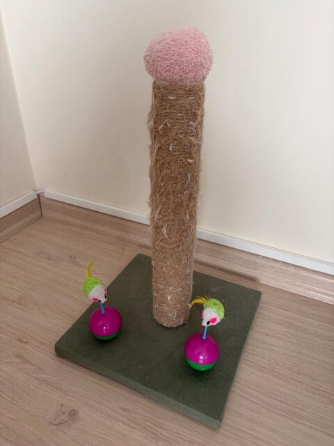 kedi yuvası, tırmalama tahtası ve oyuncaklar