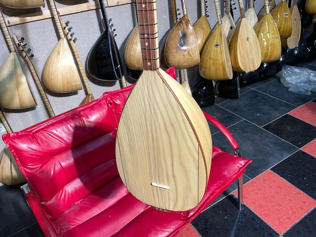 TAM PROFESYONEL 41 TEKNE KELEBEK AĞACI UZUN SAP SAZ - 3