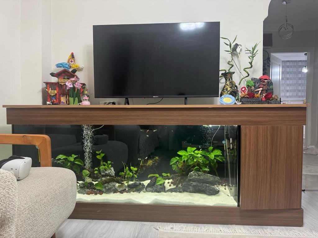 TAM SET HARİKA AKVARYUM