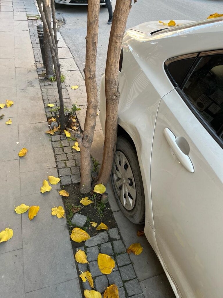 2021 Toyota Corolla - Yetkili Servis Bakımlı - 13