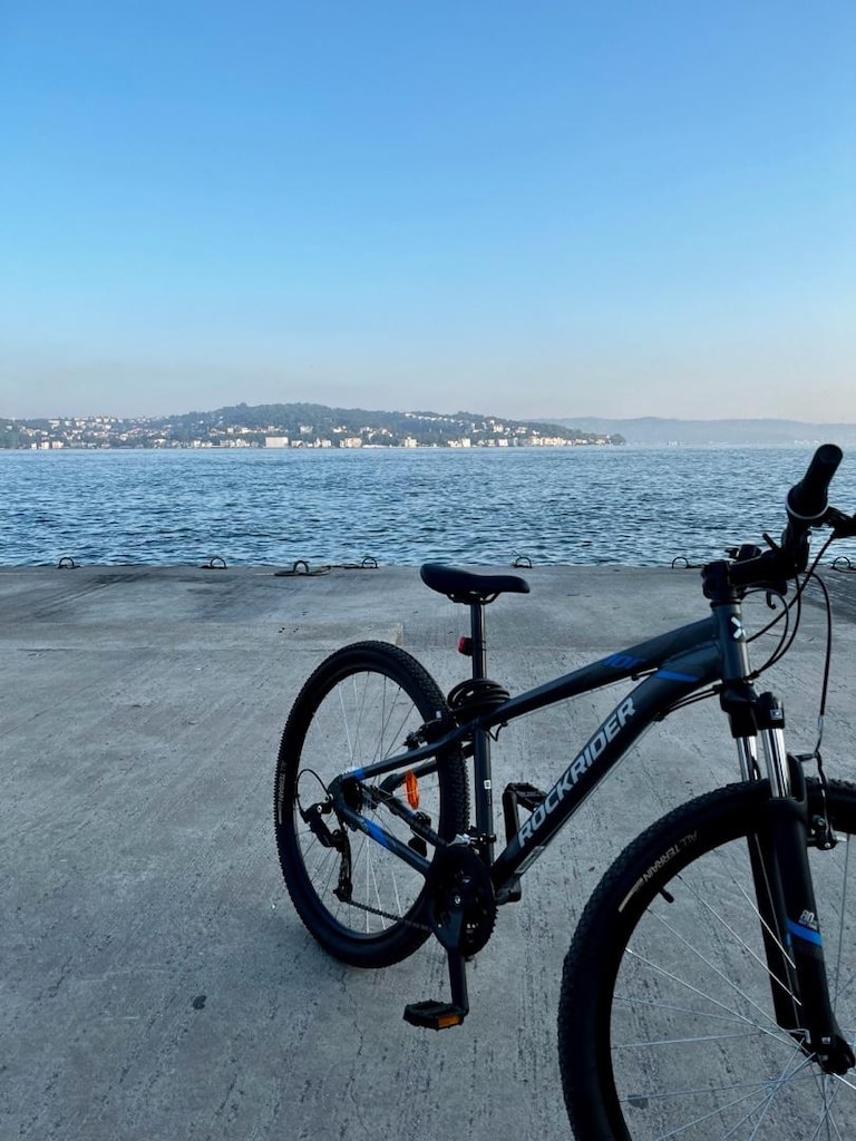 Rockrider ST 100 Dağ bisikleti