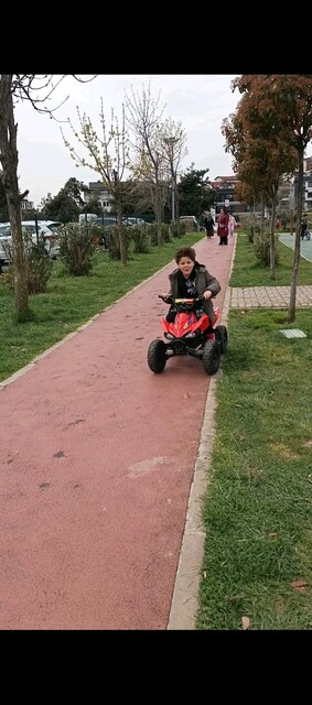 motolux mini atv