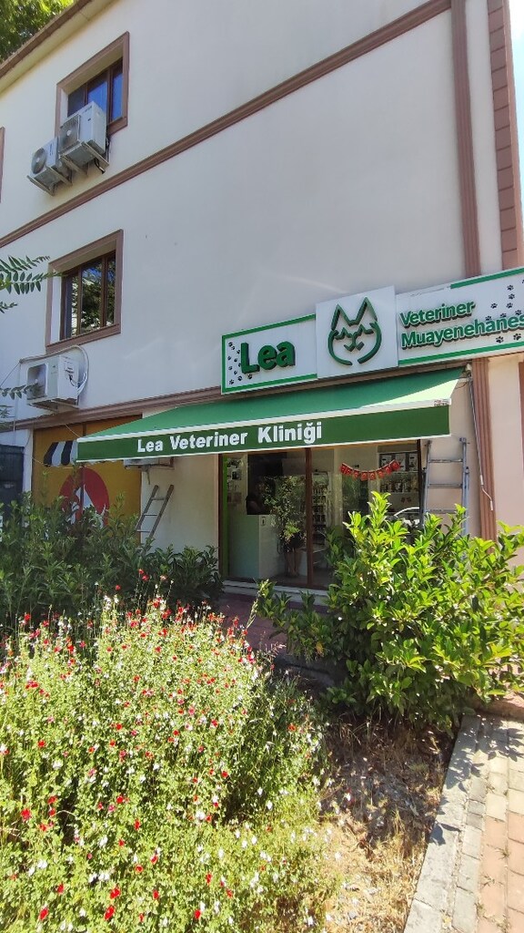 tente branda - 3
