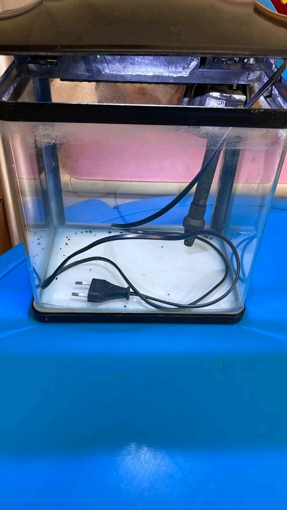 son rakam ithal ışıklı akvaryum iç filtre motorlu - letgo'dan