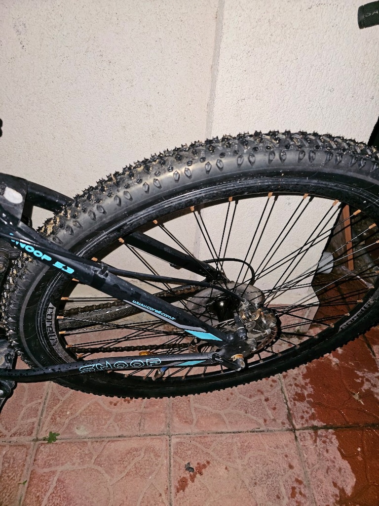 Corelli Snoop 5.3 Mavi 29" - 4