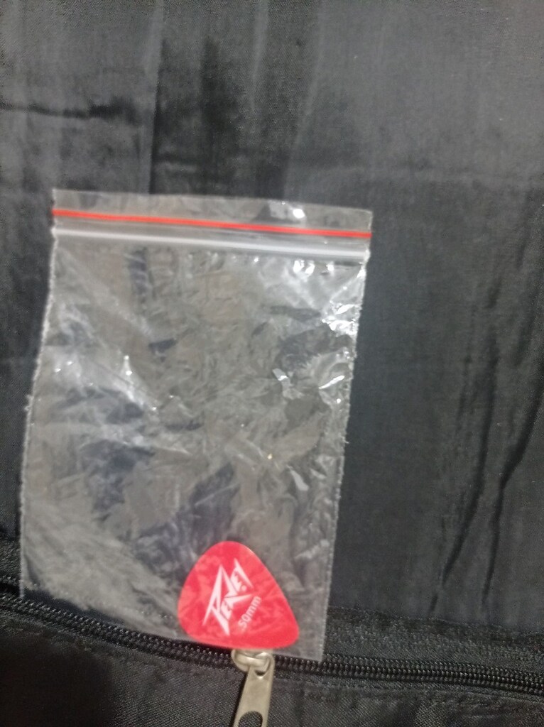 SANCHEZ GİTAR 4/4 - 10