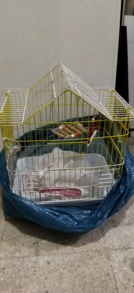 kuş kafesi - 3
