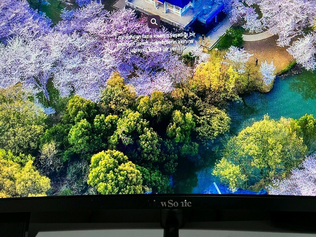 ViewSonic 32 inç monitör hatasız - 3