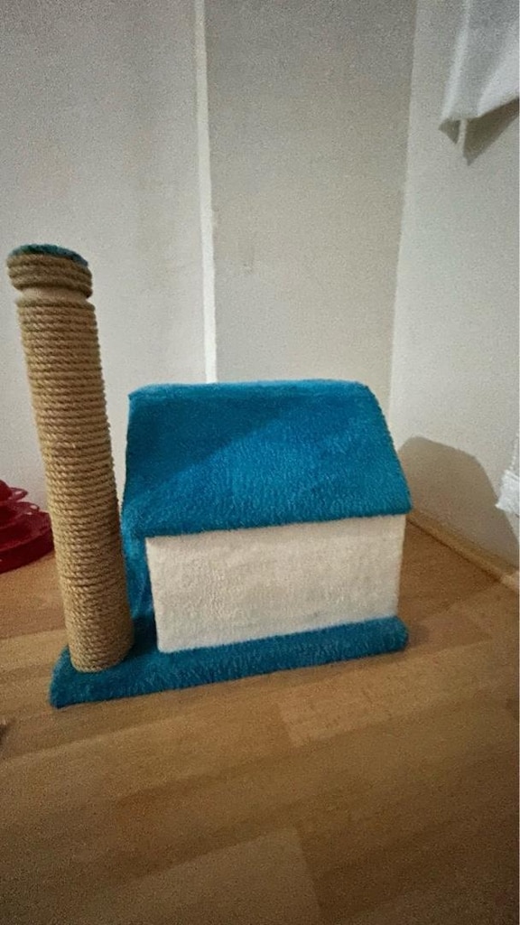 Kedi evi - 2