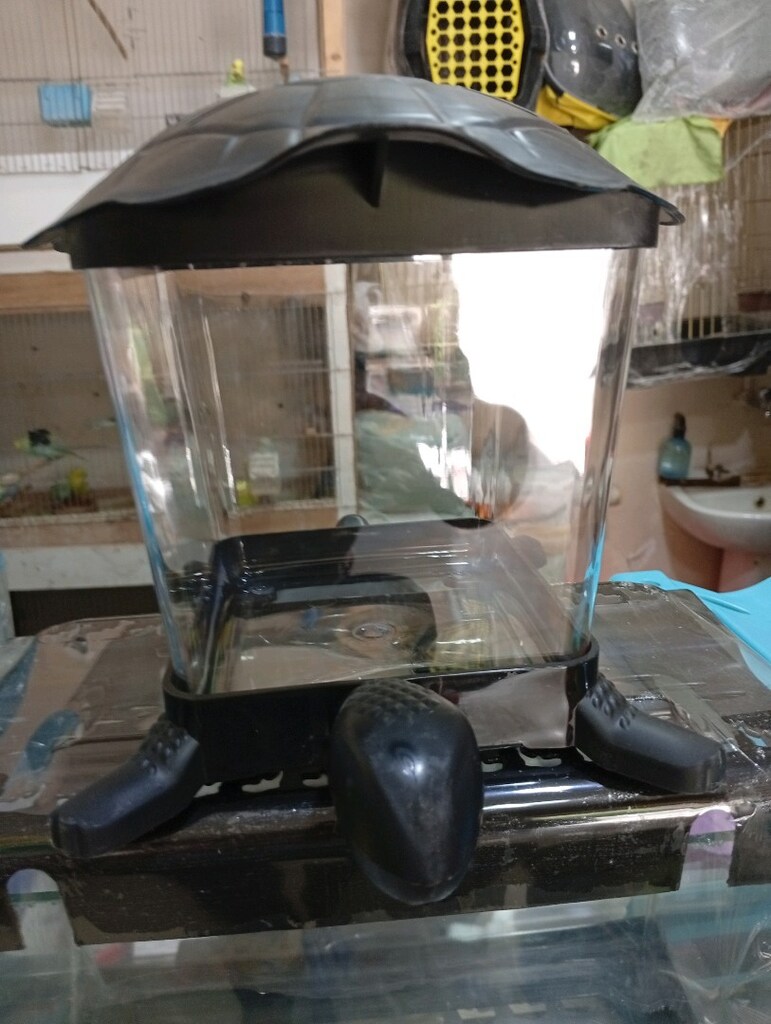 Akvaryum mini beta balıkları için 15cm - 3