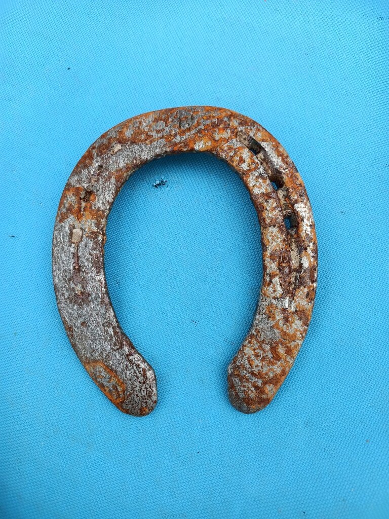 At nalı. - 2