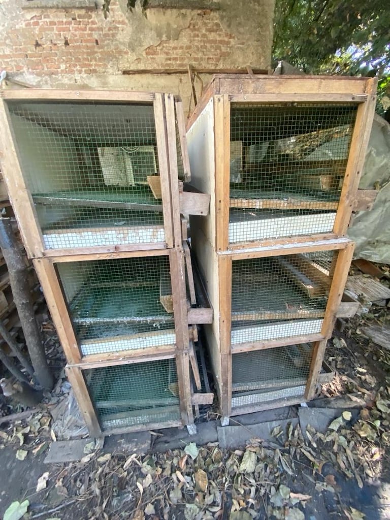Bıldırcın yumurtlatma kafesi - 2