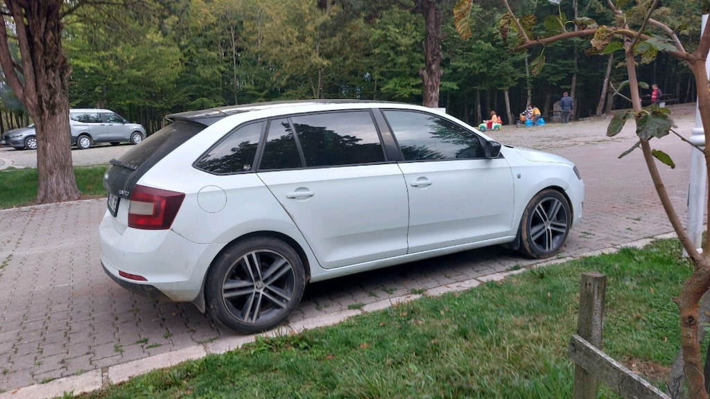 2014 Skoda Rapid 1.6 TDI Elegance DSG Cam Tavan - 10