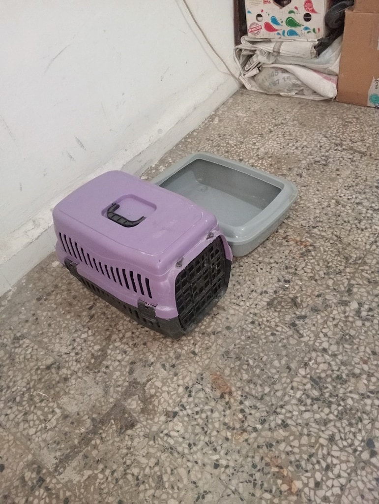 kedi taşıma çantası ve tuvaleti - 3