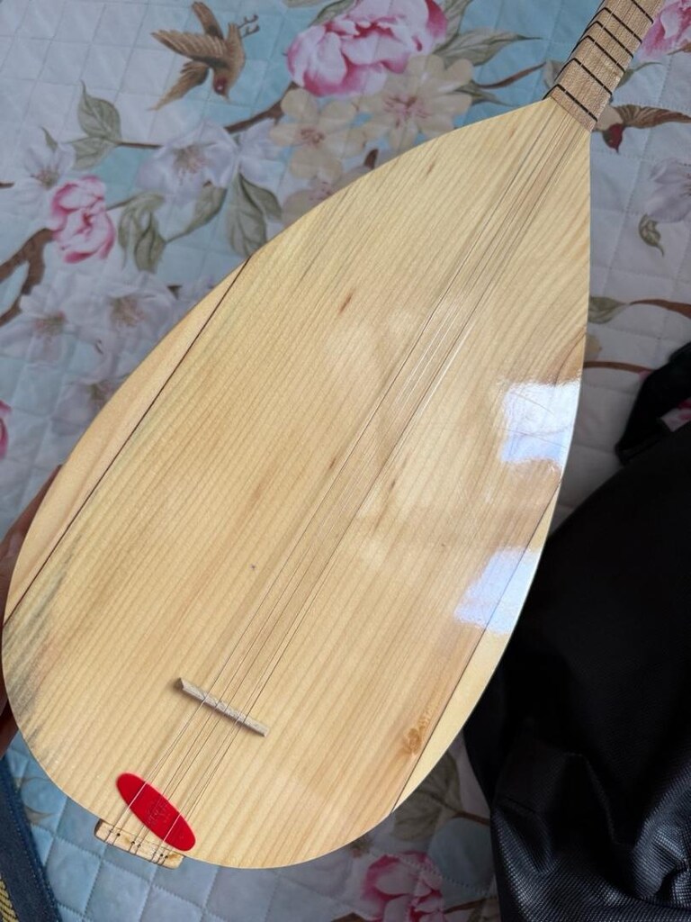 SAZ-BAĞLAMA - 5