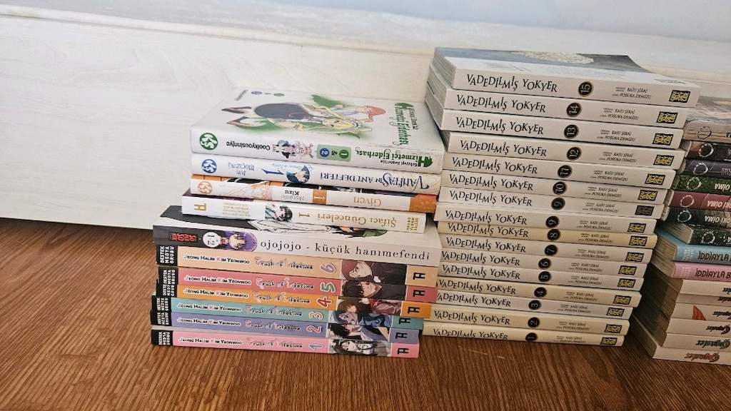 satılık manga tertemiz - 4