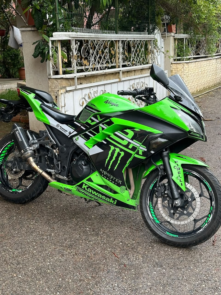 Ninja 300 - 2