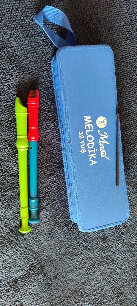 melodika ve flüt - 4