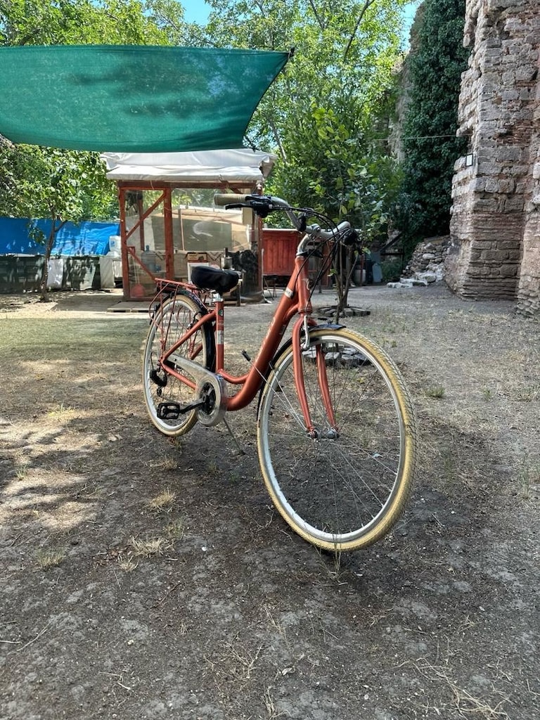 Carraro Juliet 28 Jant 21 Vites V-Fren – Temiz ve Bakımlı - 3