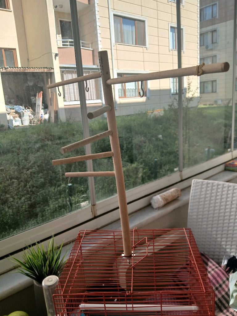 temiz sorunsuz kuş kafesi - 3