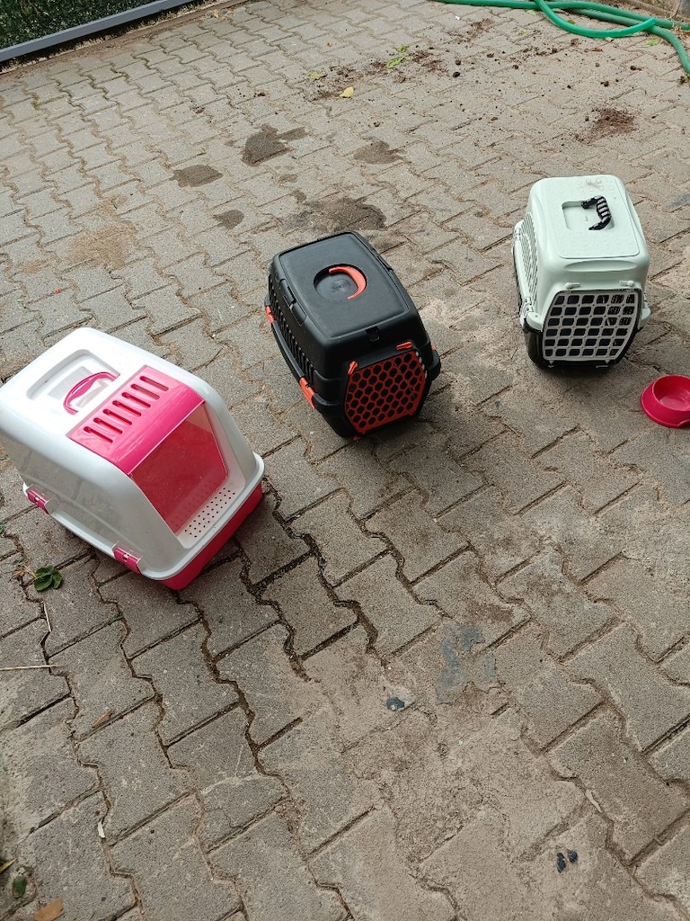 KEDİ MALZEME - 9