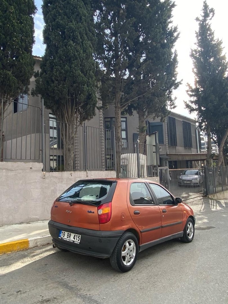 palio - 7