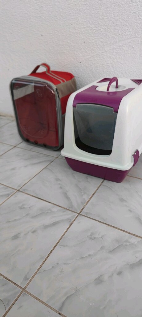 kedi bakımı - 4