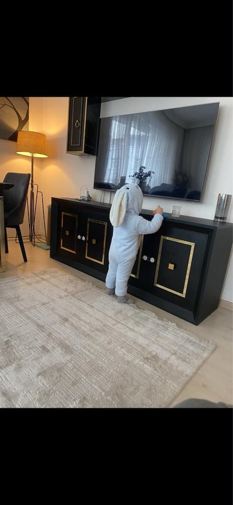 sıfır gibi temiz koltuk+ yemek odası+tv seti