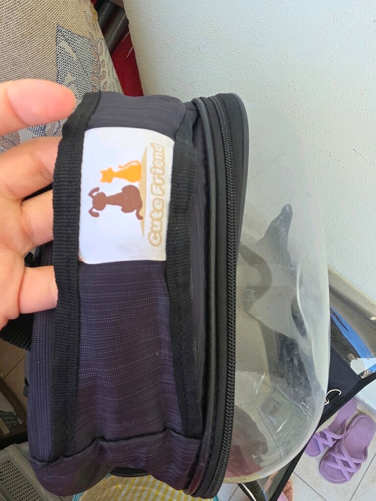 kedi taşıma çantası - 3