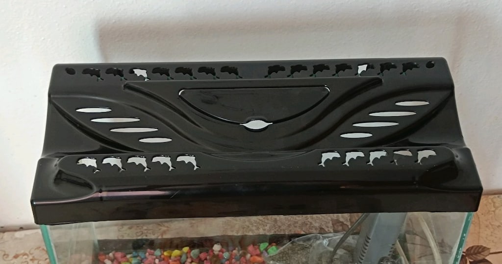 akvaryum - 4