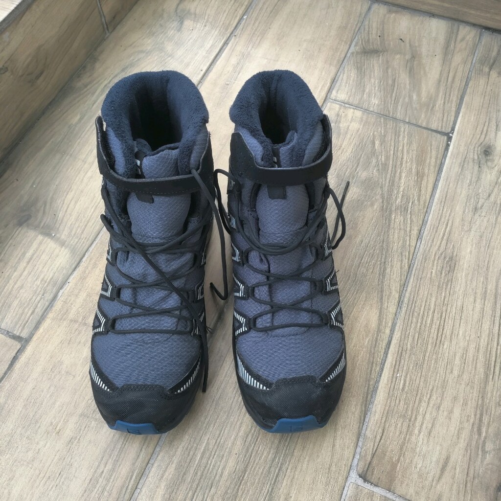 salomon Bot - 2