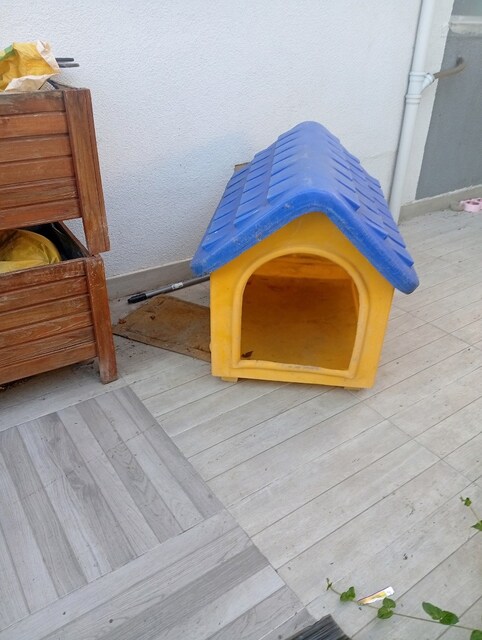 köpek kulübesi